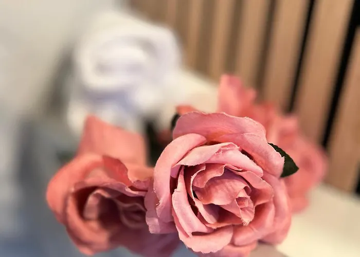 Relaxdays-apartments 2 Garten Und Pool- Mitbenutzung, Kostenloser Parkplatz, Kontaktloser Checkin, Wifi Mit Smarttv Appartamento *